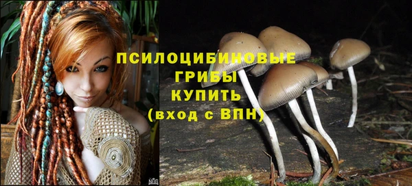 прущая мука Сатка