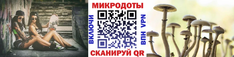 Галлюциногенные грибы мицелий  закладки  Кадников 